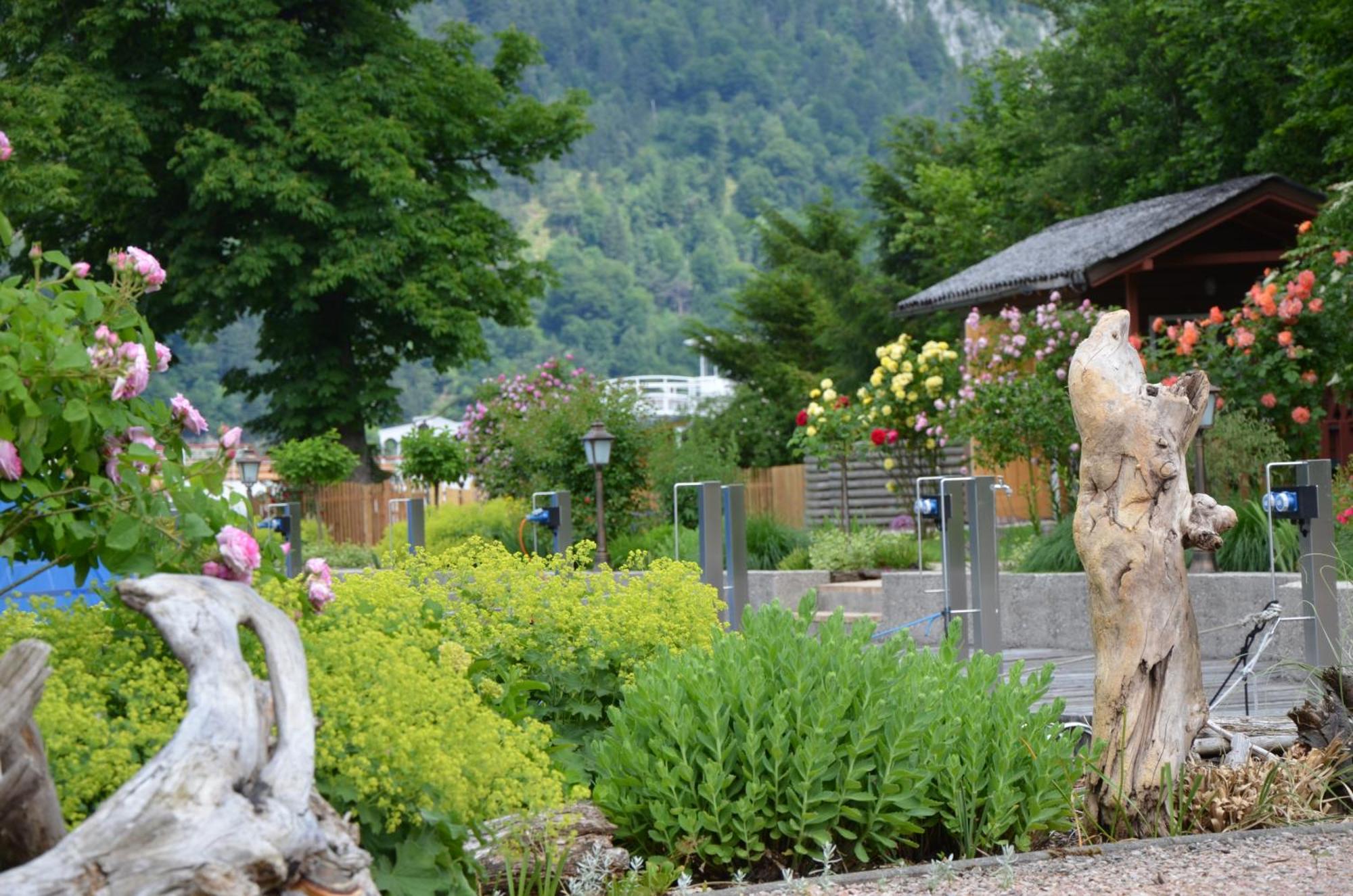 Wohnen Am See Villa Schroetter Direkt Am Traunsee Rindbach Eksteriør bilde